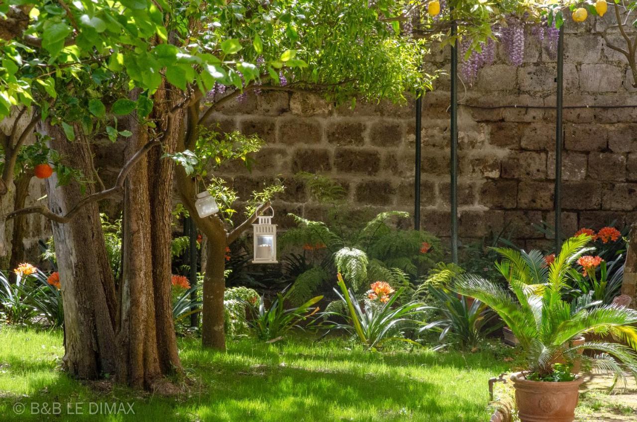 Le Dimax Bed and Breakfast Sant'Agnello Buitenkant foto